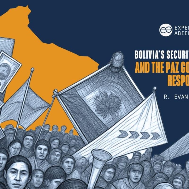 Bolivia’s Security Challenges and the Paz Government’s Response